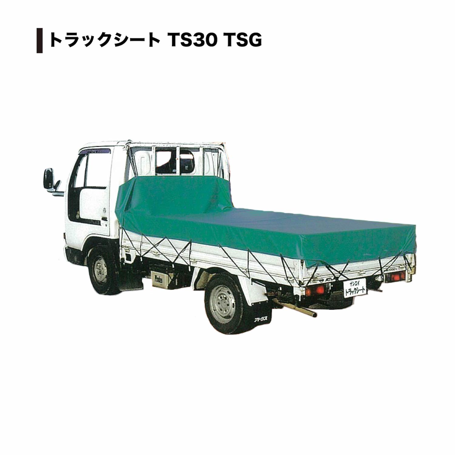 TS-30 TSG