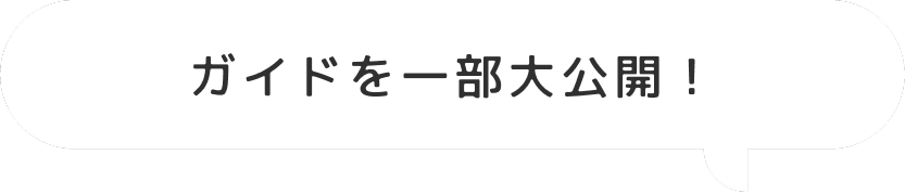 ガイドを一部大公開！